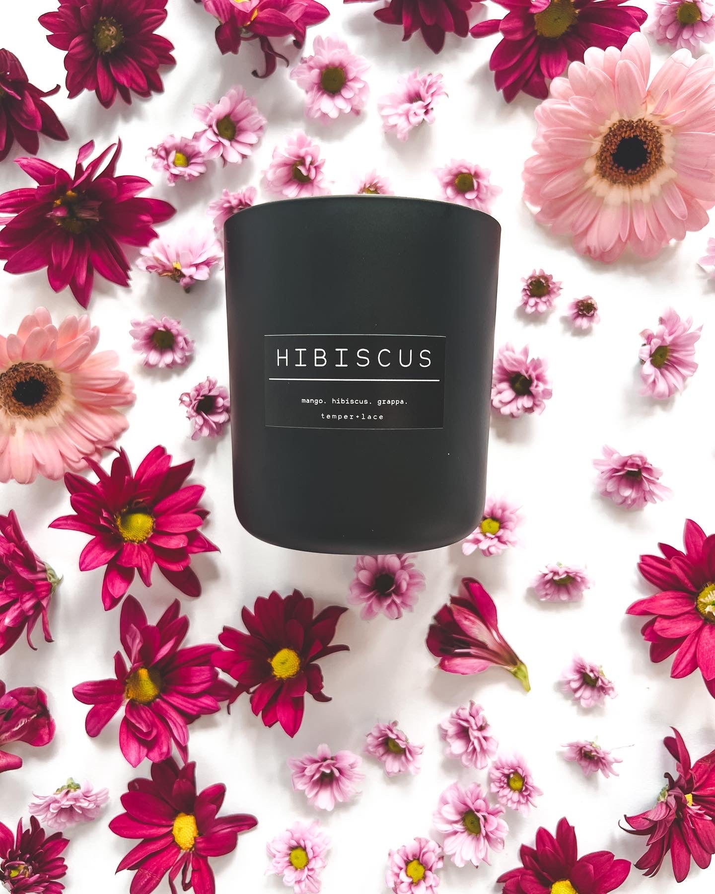 HIBISCUS
